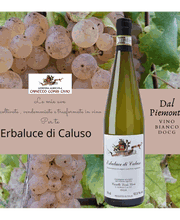 Azienda Agricola Caretto Loris Livio immagine 2