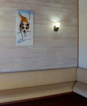 Toro Park Animal Hospital image 16