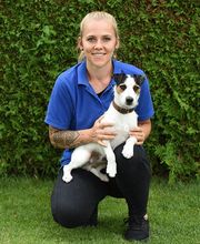 Tierarztpraxis im Hölzli Bild 9