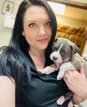 Country Hills Veterinary Hospital: Greene Mark DVM image 5