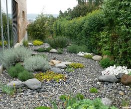 WENK Garten Bild 3