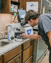 Wewoka Animal Hospital image 12