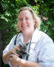 Skinner Animal Clinic image 18