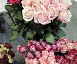 Fleurs et Fleurs image 19