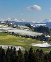 Stephan Sommer Fotografie Bild 6