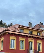 Singelé Sàrl Bild 1