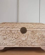 Stop Nuisibles image 7