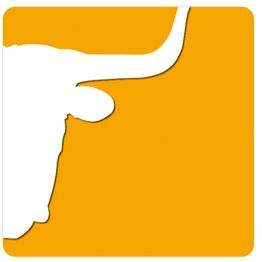 Medienagentur in Schongau - BSE Pictures