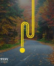 Courtesy Driving School image 2