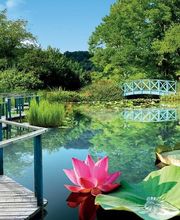 Les Jardins D'Eau image 1