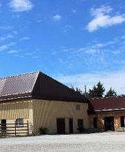 Animal Hospital of Nebraska City image 4