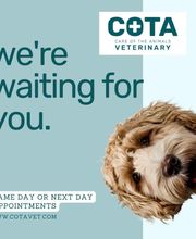 COTA Veterinary image 19