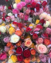 Bricorama Saint-Pierre-Lès-Elbeuf image 16