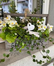 Ristorante Romantica Rümlang Bild 10