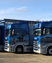 Transport Lelandais image 4