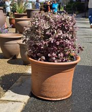 Poterie Jamet image 4