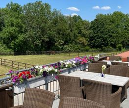 Ristorante Il Cavallo Aachen Bild 14