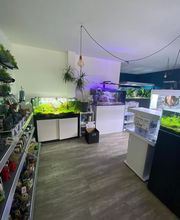 Aquadecor image 1