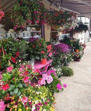 Conter Fleurette image 1