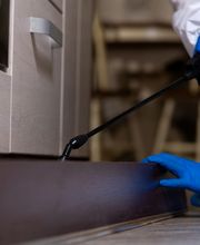 pest extermination service