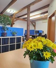 Tisch mit blühenden Blumen und Sicht auf die Arbeitsplätze. Blaue Trennwände und PC-Bildschirme.