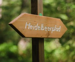Wegebeschilderungen helfen bei der Orientierung im FriedWald Friedenweiler.