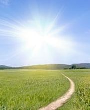 Heberling Serge Bild 1