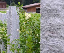 Gartengestaltung Andreas Jakob GmbH Bild 9