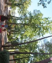 Camping Le Parc image 6