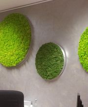 Franzen Moos Wanddesign Bild 15