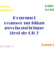 Vaudchamp Sabrina image 2