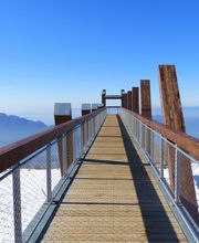 Victor MARINE image 3