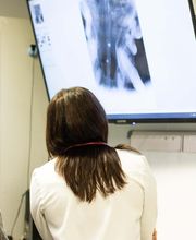 TotalBond Veterinary Hospital at Forestbrook image 16