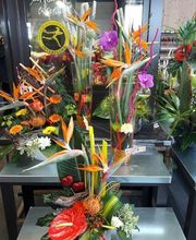 Jardiland La Rosée image 4