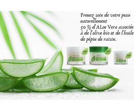 Chez Nicolas image 3