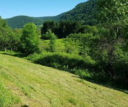 Garten- und Landschaftspflege Ulmann Bild 2