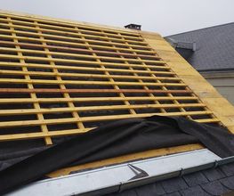 Schatzhabitat image 17