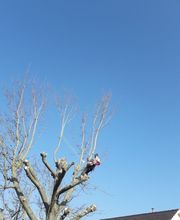 Bouillard Pascal image 6