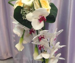 Miss Vanda image 4