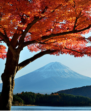 Poiroux Etienne image 2