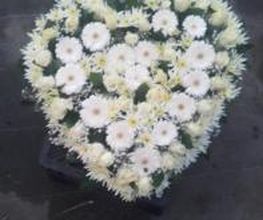 Les Fleurs De Calicie image 12