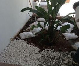 Interjardín imagen 18