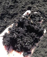 La Compostière du Gros-de-Vaud Sàrl Bild 4