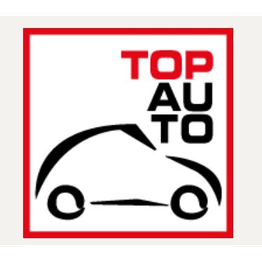 Top Auto Citroen logo