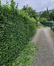 Hausservice Eisold Bild 9