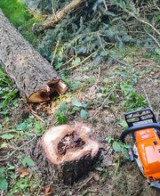 Hohmeier e.U. Bild 4