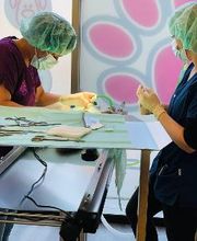 Dierenkliniek PETcomfort - Dierenarts Utrecht afbeelding 3