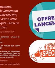 BADIS EXPERTISE image 8