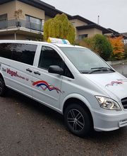 Carreisen + Taxi Vogel Bild 3