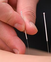 Meridian TCM Gesundheitszentrum GmbH Bild 1